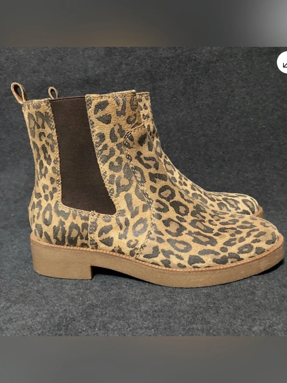 Lucky Brand Ressy Leopard Suede Chelsea Boots NWOT 7.5 Ankle Booties